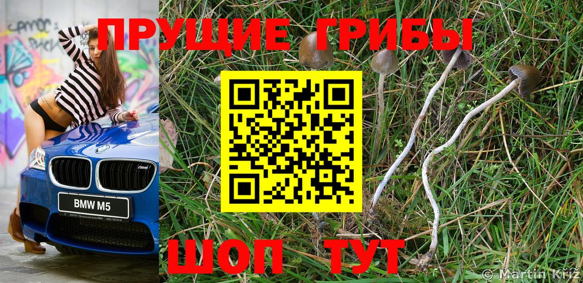 Псилоцибиновые грибы мухоморы  Вход с VPN  сколько стоит  Сызрань 
