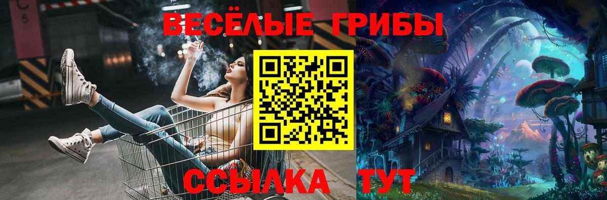 Псилоцибиновые грибы мухоморы Сызрань
